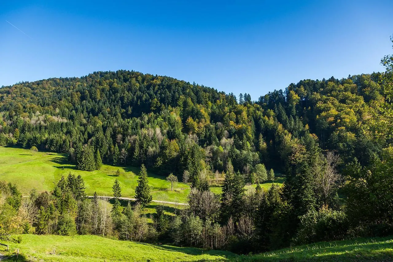 Hotel Bad Rain Mit Oberstaufen Plusgolf 4*,